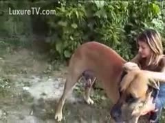 Dog and a bitch go for a terrible stroll.